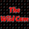 TheWildCam