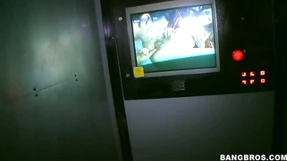 Two busty bitches Phoenix Marie and Tanya Tate sucking down Bruno at the pornshop