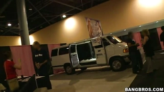 Phoenix Marie receiving facial and showing her tits and ass in the bangbus