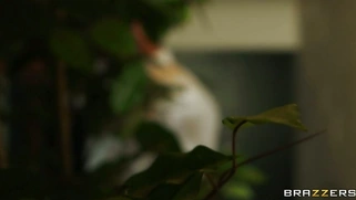 Smoking hot babe Aletta Ocean preparing herself for a sexy rub down