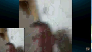 Amir Amar Lives in Beirut Lebanon