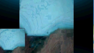 Amir Amar Lives in Beirut Lebanon