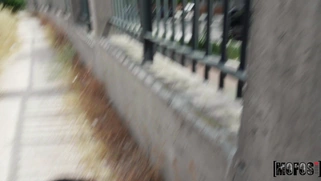 Anastasia Brokelyn is sucking cock outdoors