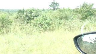 Russian prostitute Kayla Green hitchhiking in high heels and a mini skirt