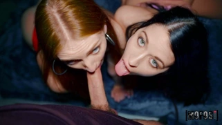 Maya Kendrick and Alex Coal are sucking the big cock in POV