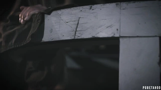 Blonde India Summer gets her pussy and mouth fucked