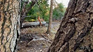 Molly Pills shows off her big tits and pussy outdoors