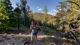 Molly Pills shows off her big tits and pussy outdoors