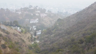 Emily Willis and Gianna Dior get fucked poolside