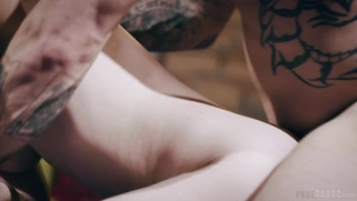 Casey Calvert gets her ass fucked doggystyle on the floor