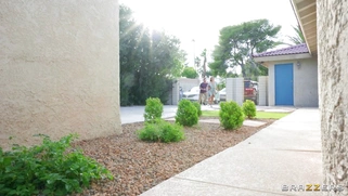 Abella Danger is sucking the hard cock in POV