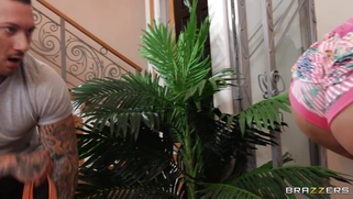 Amanda Nicole is sucking cock behind her HB's back