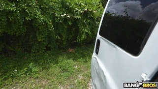 MILF Sydney Paige gets fucked and facialed by Tyler Steel