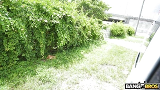 MILF Sydney Paige gets fucked and facialed by Tyler Steel