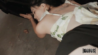 MILF Harley Haze gets fucked by Scott Nails standing