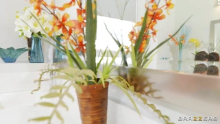 Luna Star gets fucked by Quinton James doggystyle