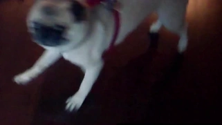 Sexy small tits blonde MILF revealed hot body during passion posing action