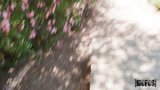 Michi Love is sucking cock in POV outdoors