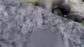 Porn Babe Big Sexy Tits Invites Guy Met At Pool