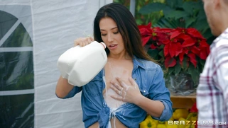 Eva Lovia sucks customer's fat cock unbeknownst to the husband