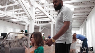 Nicole Rae is fingering her trimmed pussy on the chair