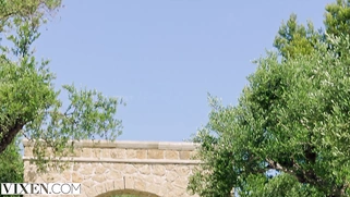 VIXEN Zaawaadi's Great Hotel Meeting