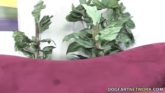 Beverly Hills Devastated By Shane Diesel's BBC - Cuckold Sessions