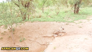 Sexy Black Girlfriend Hard Pussy Pounded By BWC American In Amateur Fuck