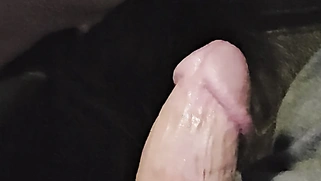 Hot milf gives sexy blow job