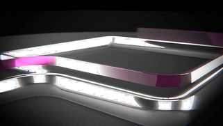 LICENSED TO LICK - Cadence Lux Let Me Lick Your Butthole