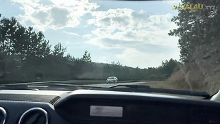 Beautiful Busty Blonde Teen Screwed And Facialized In A Car