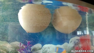 Brooke Wylde gets her huge natural tits wet