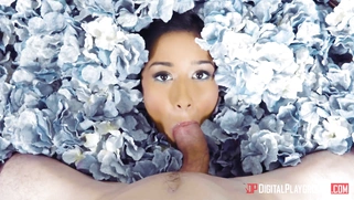 Darcia Lee on the bed covered in flowers sucks cock in POV