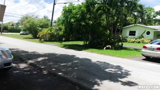 Sofie Reyez gives a quick blowjob to her BF outdoors